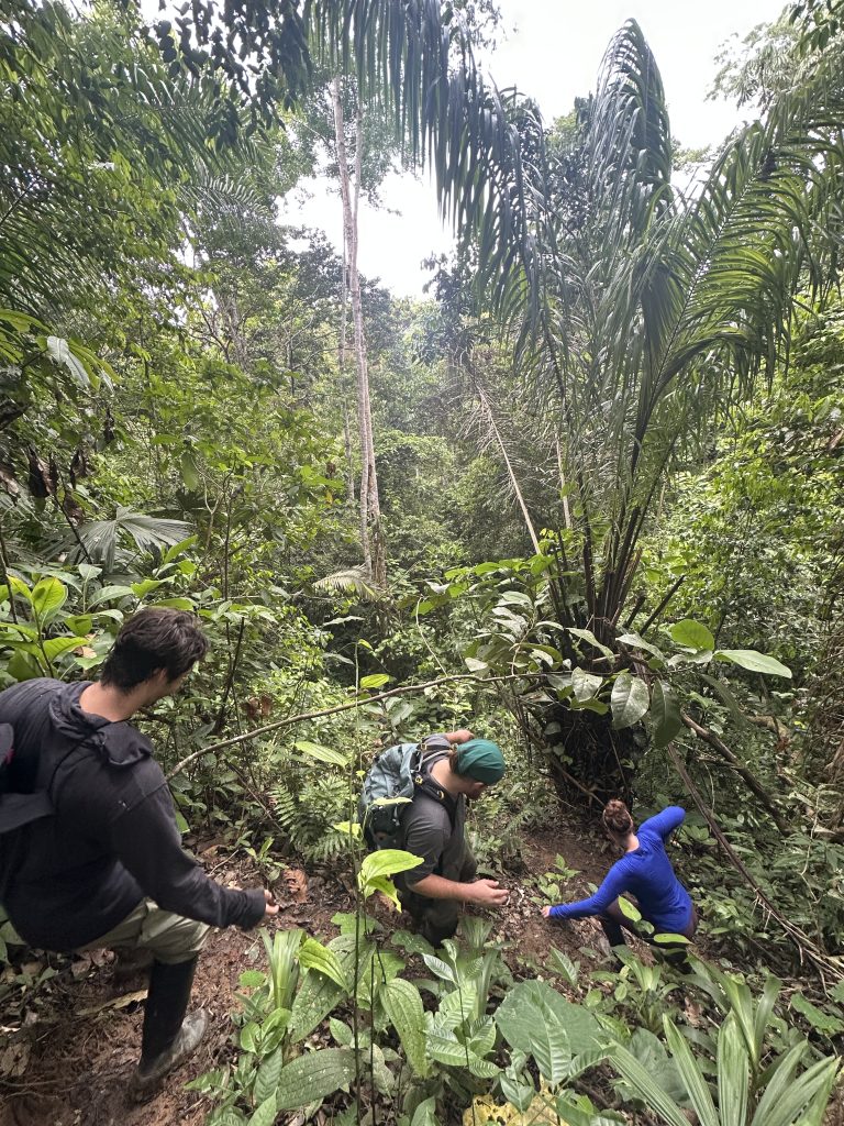 Visiter l'Amazonie