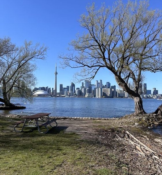 Toronto island