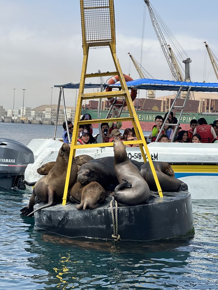 Paracas au Pérou