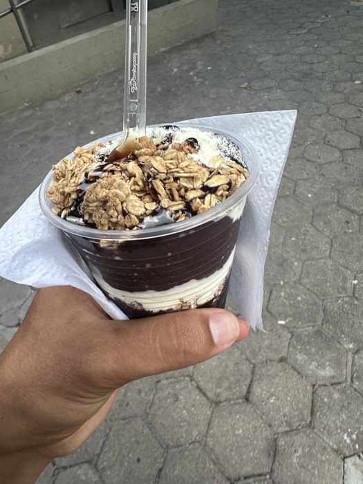 Acai du Brésil