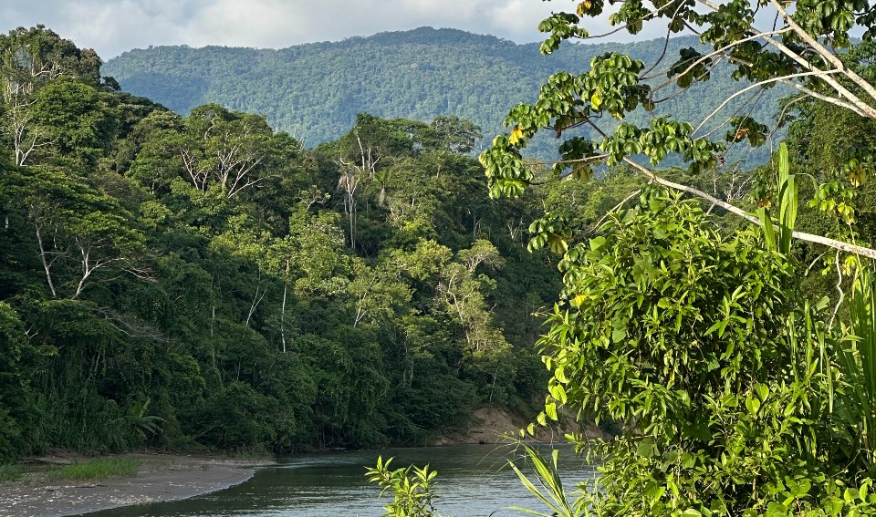 Voyage en Amazonie péruvienne avec Manu Rainforest Peru