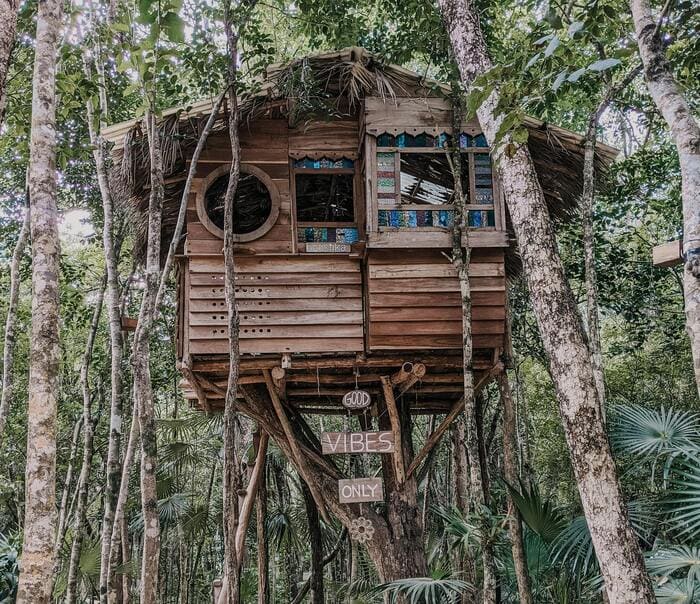 Cabanes dans les arbres
