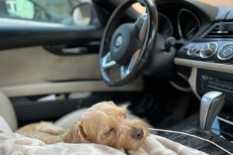 Domrir dans sa voiture