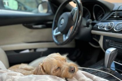 Domrir dans sa voiture