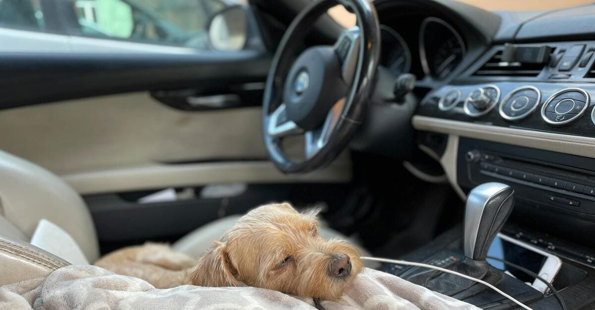 Domrir dans sa voiture