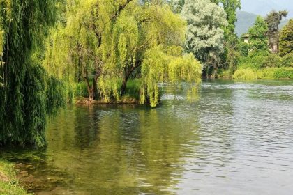 Slow travel, le voyage lent