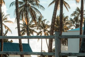 Quels pays visiter en janvier