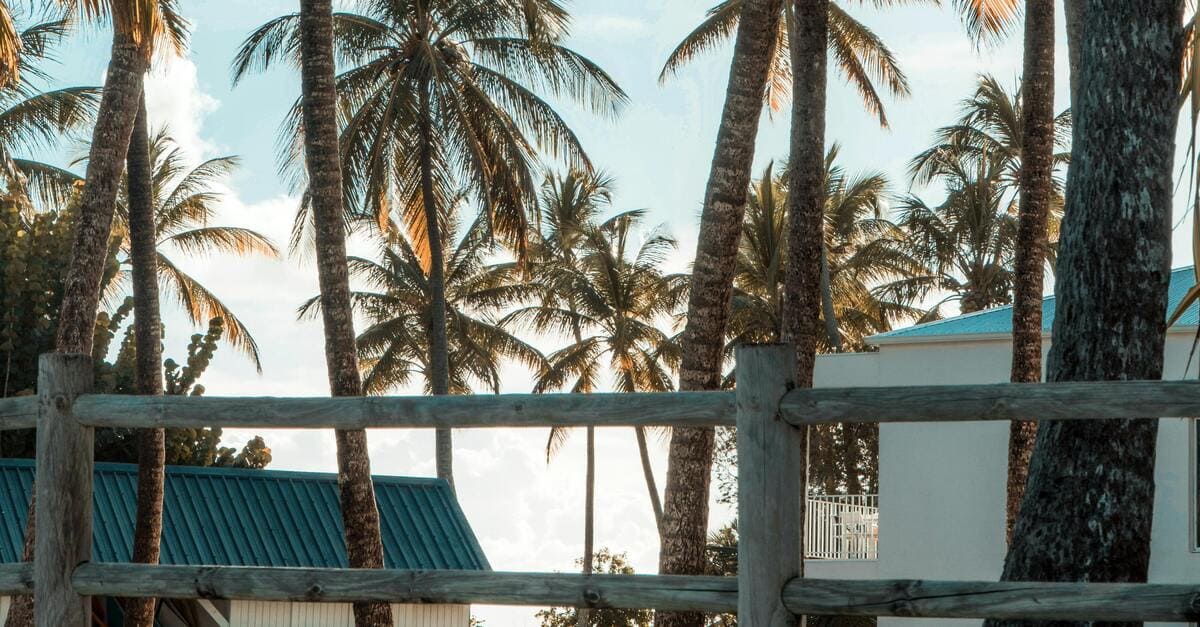Quels pays visiter en janvier