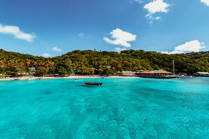 Plage de sable blanc à Mustique, île privée des Caraïbes connue pour ses villas de luxe et son exclusivité