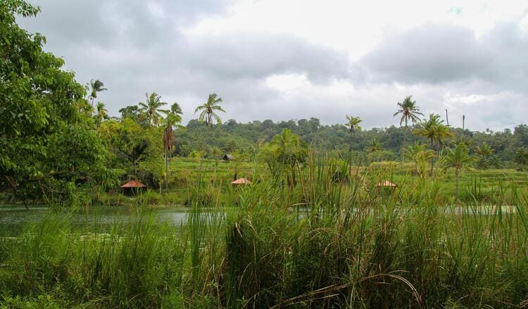 Paysage Tropical à Venilale, Timor Leste
