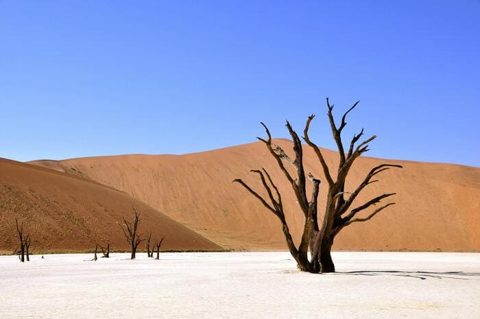 Desert de Namibie