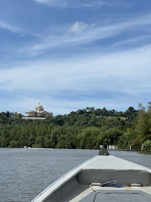 Tour de bateau au Brunei pour voir les crocodiles et les singes